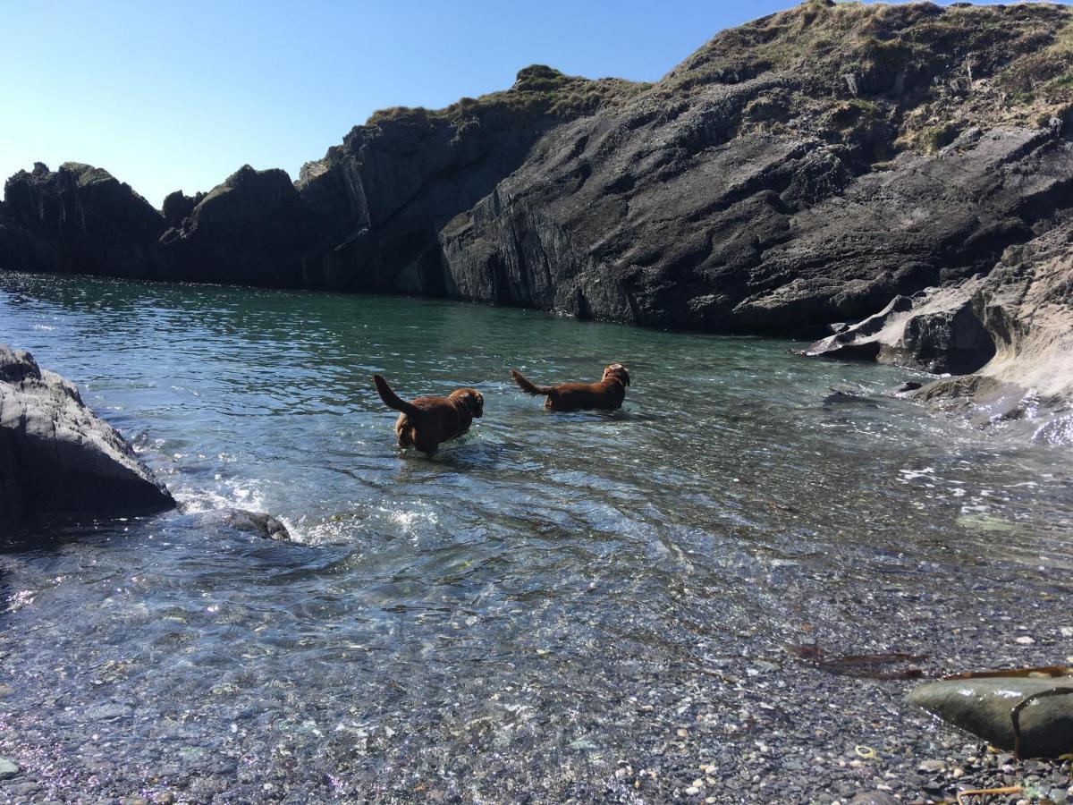 Castaway East - Long Island Hotel Schull Exterior foto